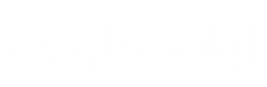 souqivo.com